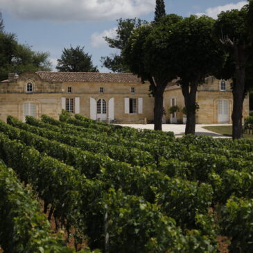 Château TrotteVieille