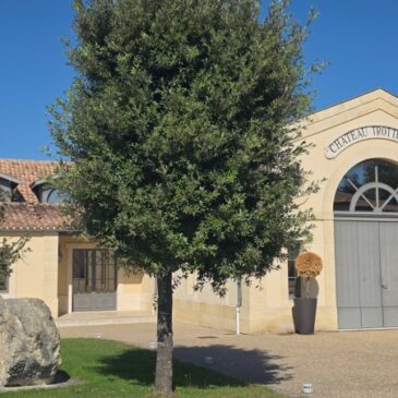 Château TrotteVieille